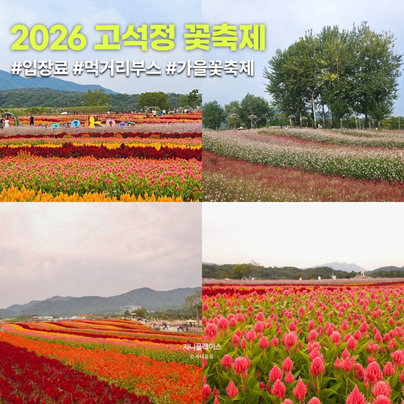 2026 철원 고석정 꽃축제 서울근교 가볼만한곳 가을 여행지 추천
