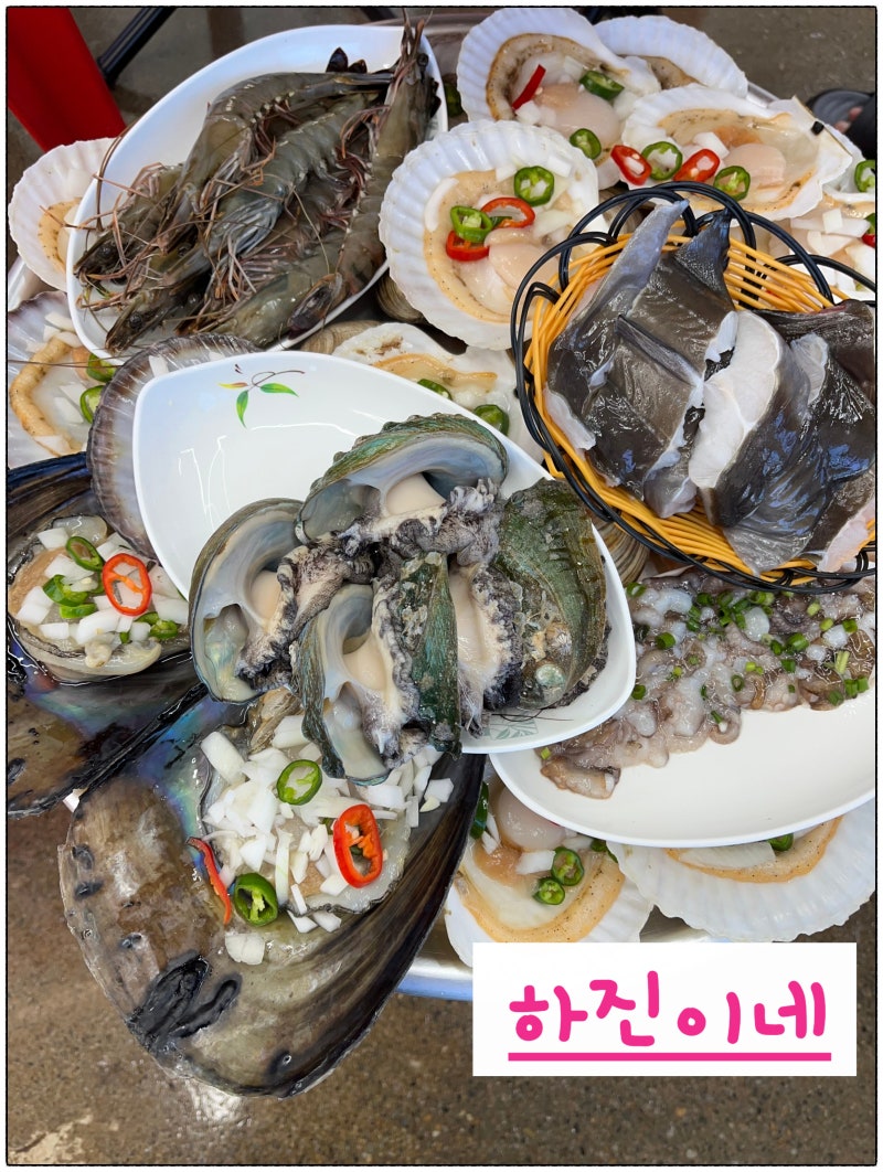 부산 청사포 맛집 하진이네, 친구와 드라이브하다 또 찾은 청사포 조개구이