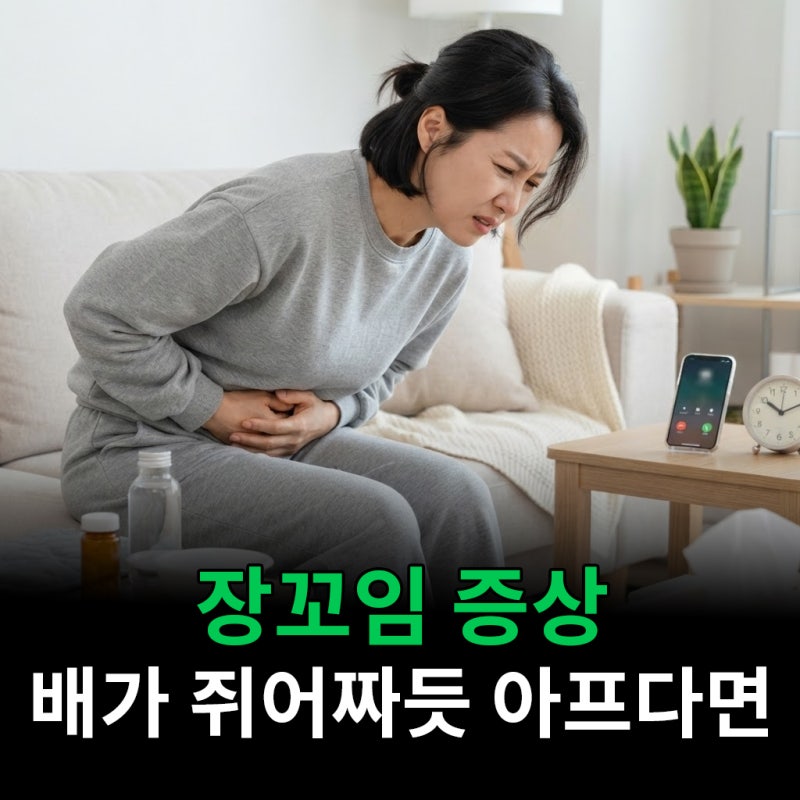 장꼬임 증상 배가 쥐어짜듯 아플 때 알아본 것