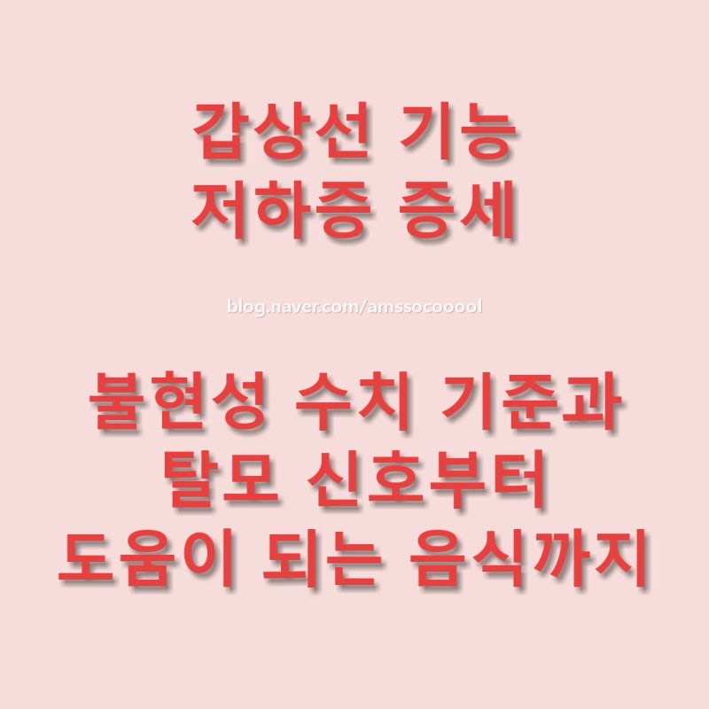 갑상선 기능 저하증 증세, 불현성 수치 기준과 탈모 신호부터 도움이 되는 음식까지