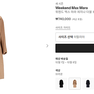 이웃님! 막스마라 레지나코트 여기 있어요! 그외 템페라, 사르타패딩등