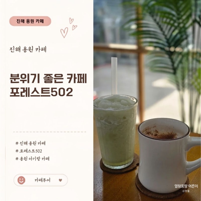 아기랑 같이 가기 좋았던 애견동반카페 진해 용원 포레스트502