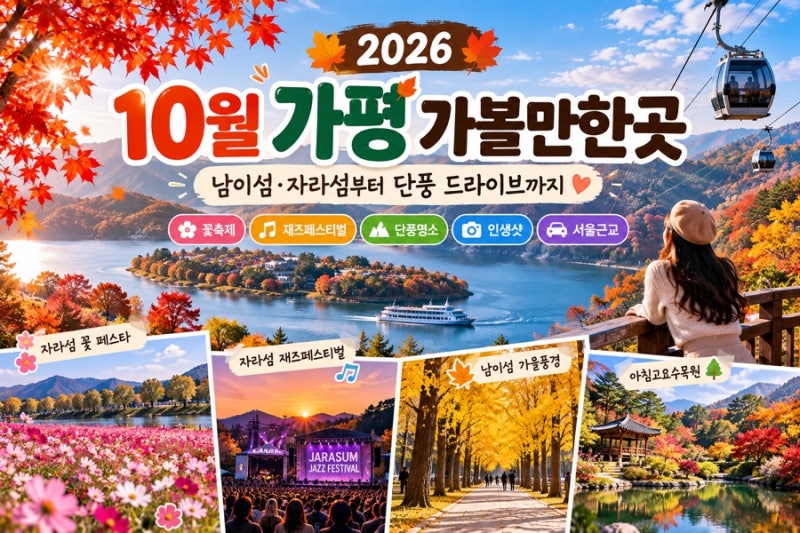 10월 가평 가볼만한곳 BEST 7｜남이섬·자라섬부터 단풍 드라이브까지