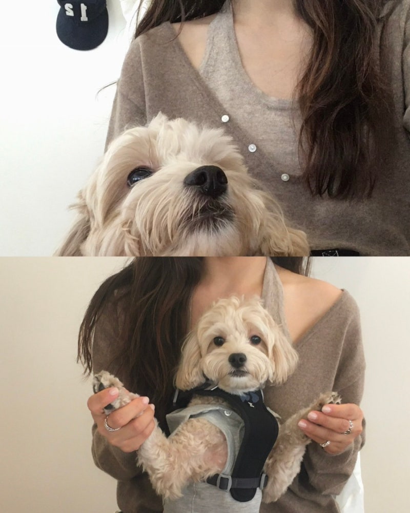 @hhyedoll - 26FW 올가을 필수템 !! 오브유이 소프트 딥 브이넥 니트 & 홀터넥 슬리브리스 니트