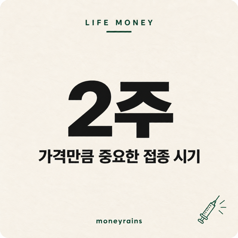 2026 독감 예방접종, 언제 어디서 맞을까? 무료 대상부터 최저가병원 정보 공개