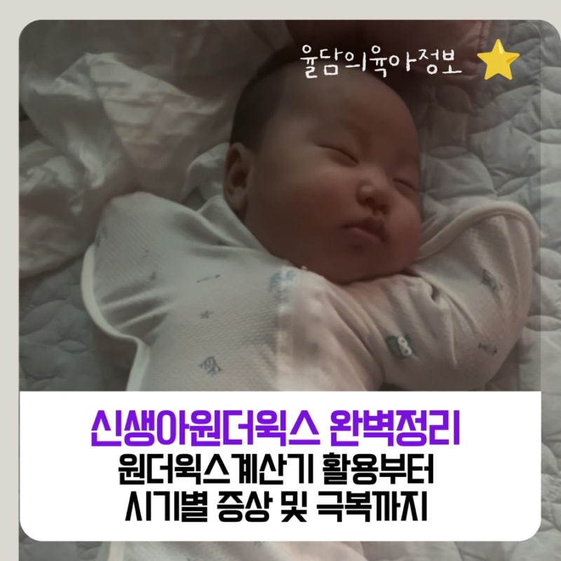 신생아 원더윅스 완벽 정리: 원더윅스 계산기 활용부터 시기별 증상 극복법까지!