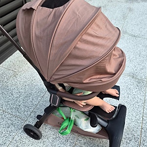 내돈내산 올보르 앨빈 트라이크 브라운 색상 후기