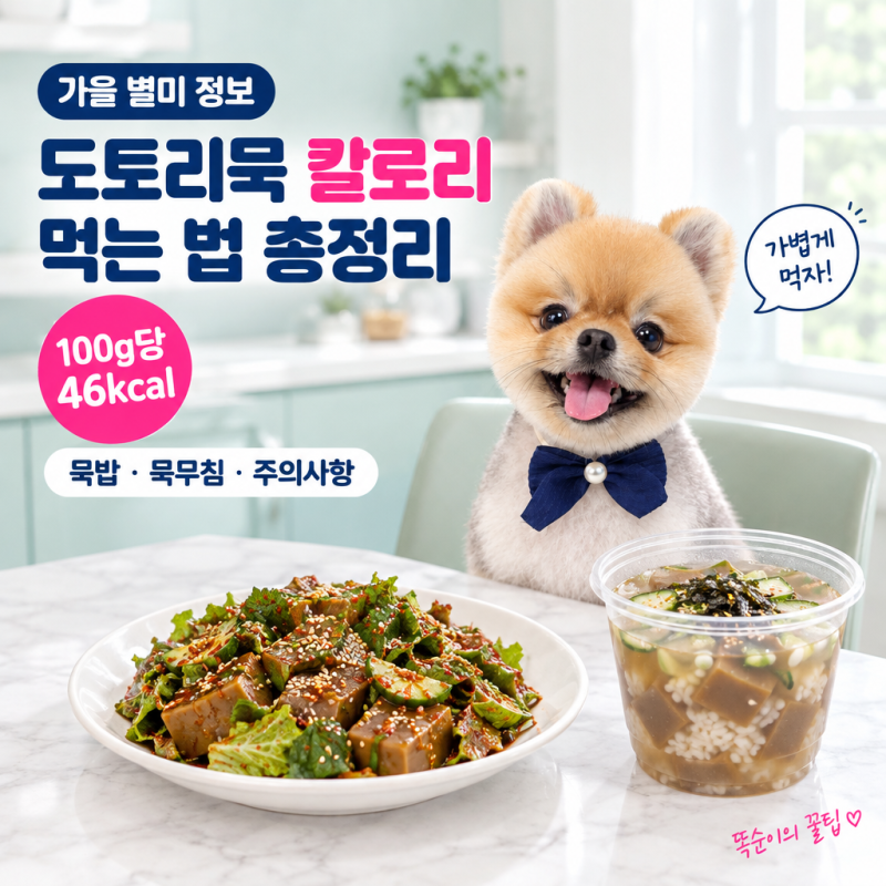♥도토리묵 칼로리 100g당 46kcal!!♥ 다이어트 중 묵밥·묵무침 먹는 법과 *주의사항*