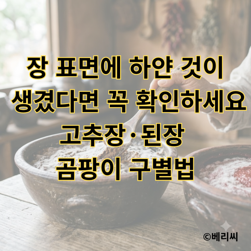 장 표면에 하얀 것이 생겼다면 꼭 확인하세요｜고추장·된장 곰팡이 구별법