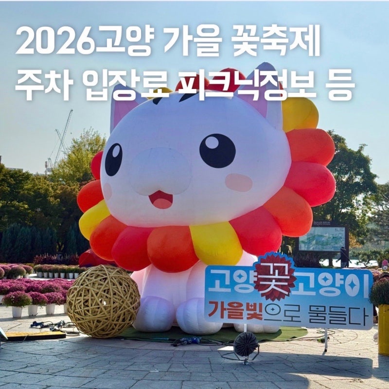 2026 고양 가을꽃축제 기본정보부터 일산 호수공원 주차·피크닉 명당 총정리 (10월 무료 축제)