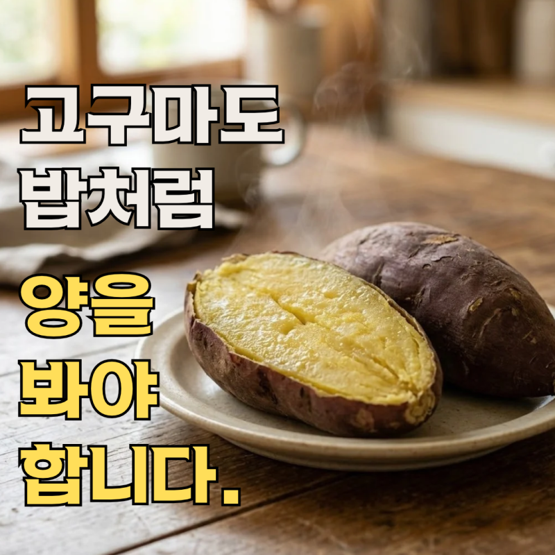 고구마 칼로리, 밥 대신 먹어도 될까? 한 끼 양 보는 방법