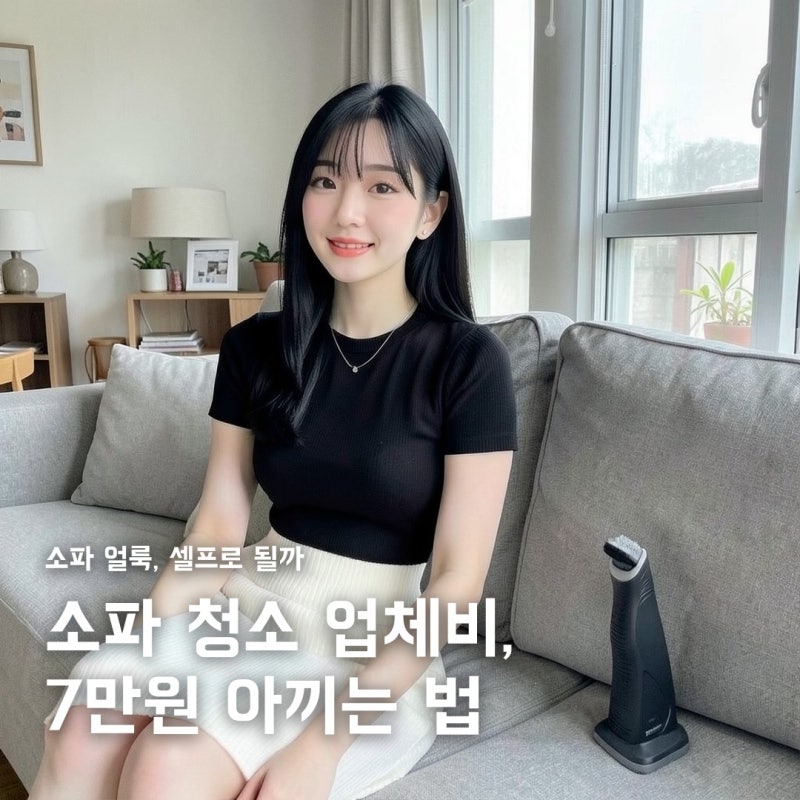 비쎌 습식청소기, 소파 업체 청소비 7만원 아끼는 법