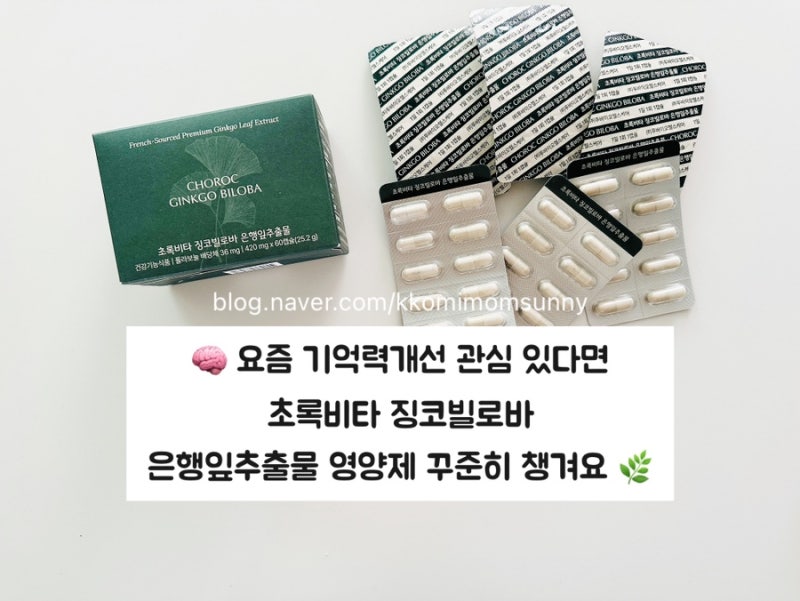 [초록비타]초록비타 징코빌로바, 징코빌로바 은행잎추출물 꾸준히 챙겨본 후기