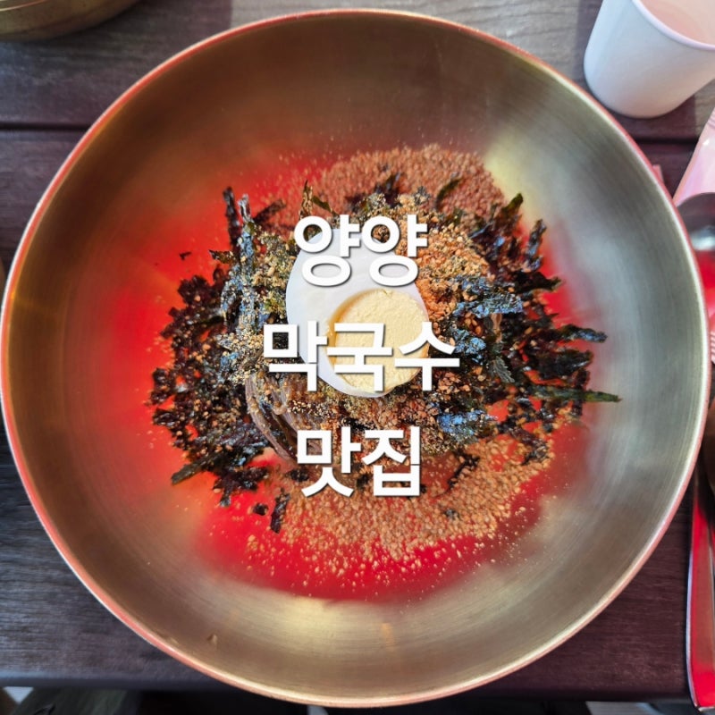 바다막국수 : 양양 하조대 애견동반 맛집 들기름막국수와 한돈수육까지