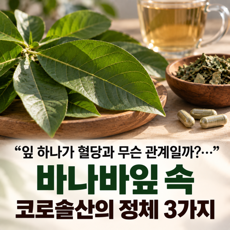 "잎 하나가 혈당과 무슨 관계일까?..." 바나바잎 속 코로솔산의 정체 3가지