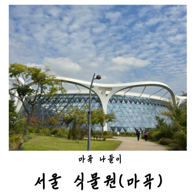 [마곡] 서울 식물원 주제원 온실부터 호수원까지 입장료 50% 할인