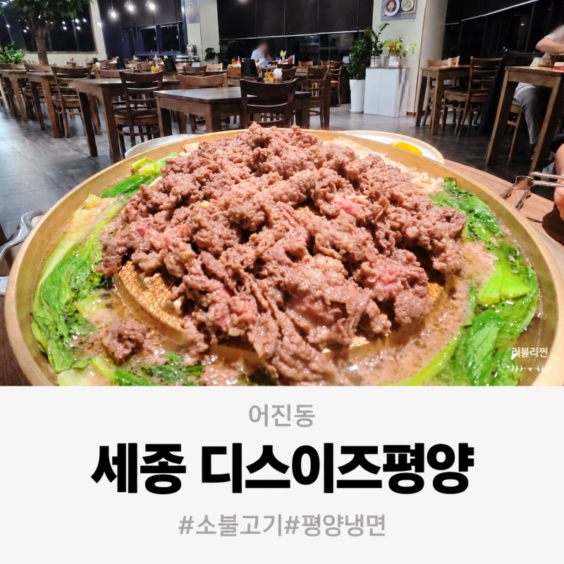세종정부청사맛집 디스이즈평양 소불고기 한상 후기