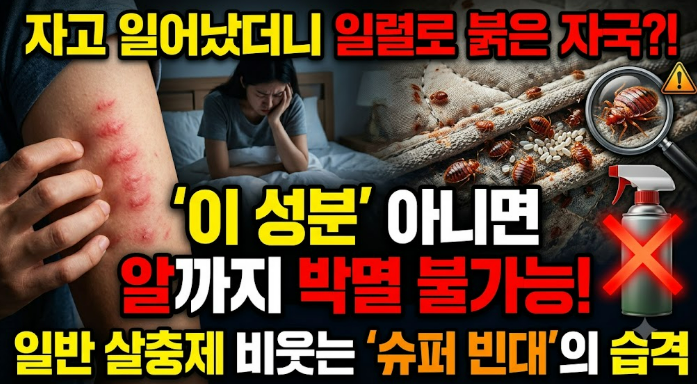 매트리스 배드버그 물린 자국? '이 성분' 아니면 알까지 박멸 불가능합니다