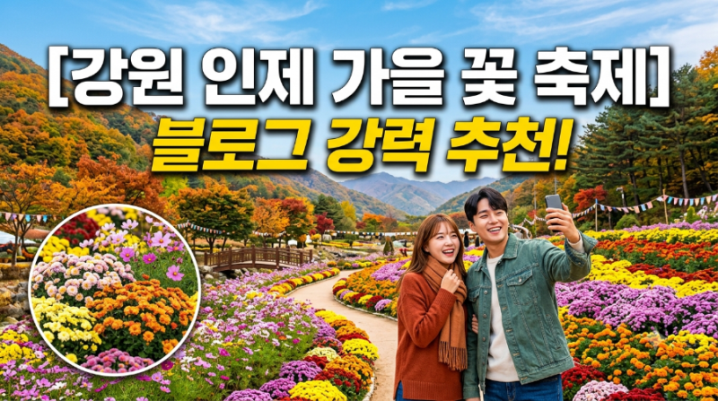 [강원도 여행] 2026 인제 가을꽃축제 10월18일까지 연장운영