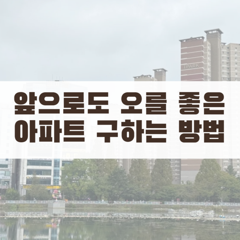 앞으로도 오를 좋은 아파트 구하는 방법 신혼부부가 내 집 마련 전에 확인할 것