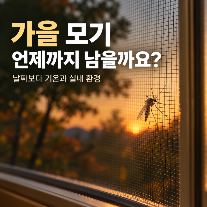 가을 모기 언제까지 있을까? 선선해져도 집 안에 남는 이유