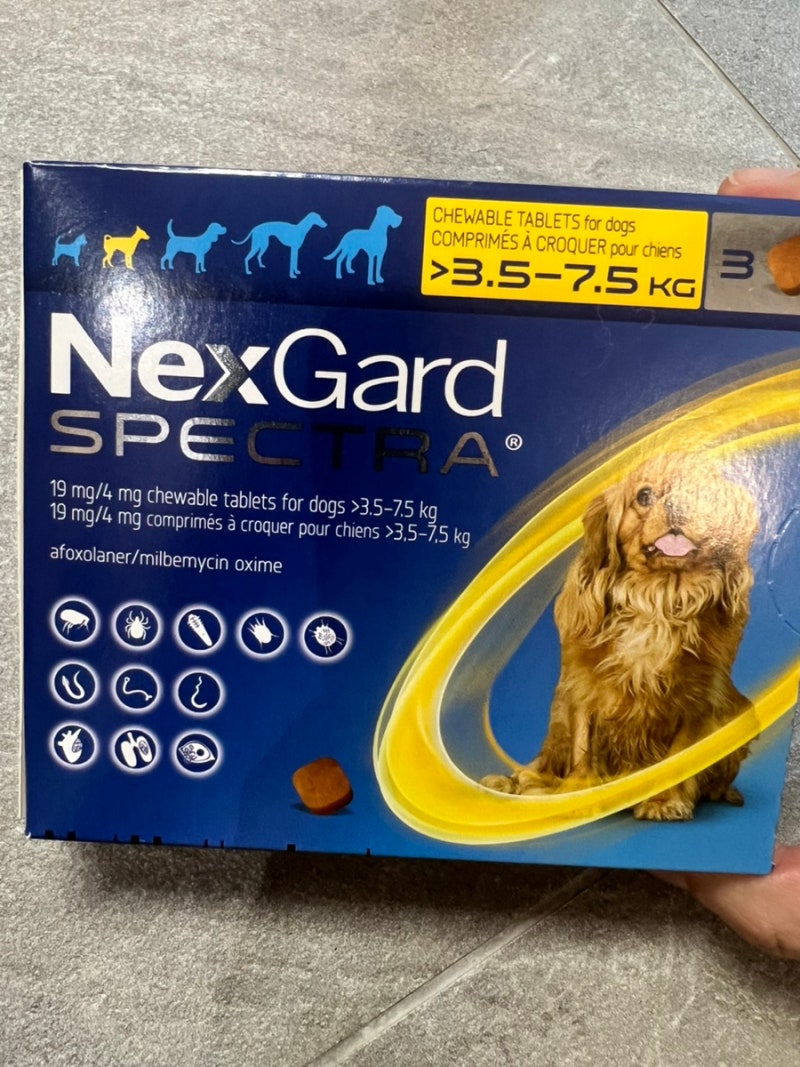 [올림픽약국] 강아지 기생충약 넥스가드(nexgard) 52000원