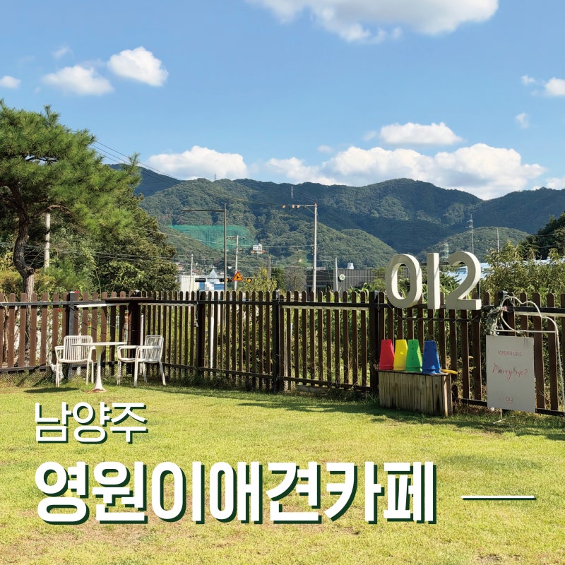 남양주 야외 강아지운동장 깔끔한 실내 애견카페. 영원이애견카페