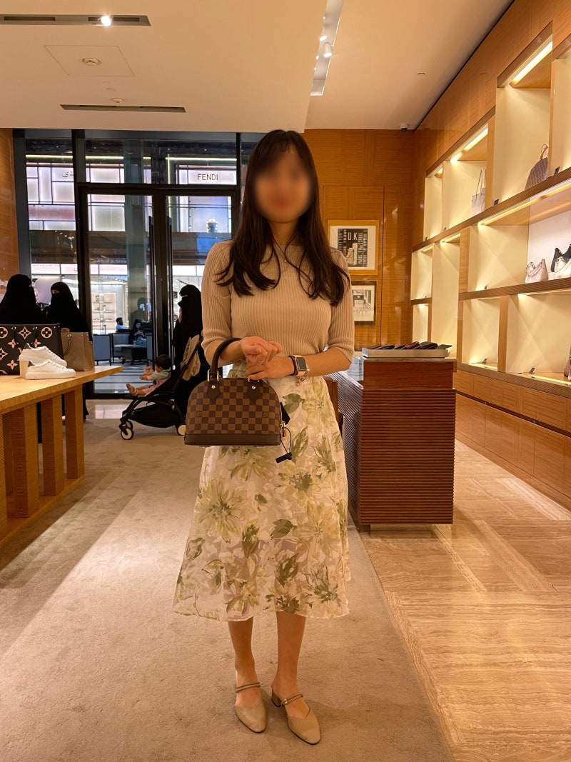루이비통 알마BB 다미에, 5년째 휘뚜루마뚜루 사용 후기, 코디컷, 여자 명품 입문 가방 추천