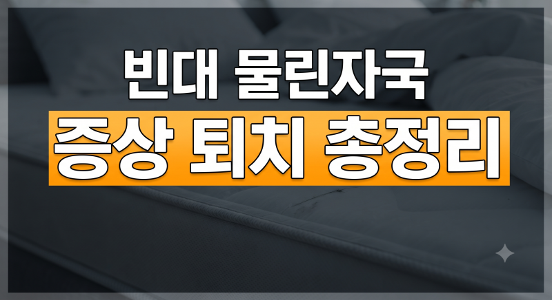 빈대 물린자국 증상 퇴치 총정리 (+진드기와 차이 가려움)