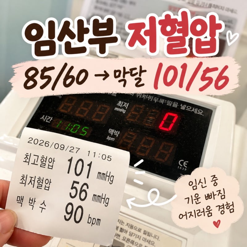 임산부 저혈압 85/60 경험 | 막달에도 혈압 101/56, 임신 중 기운 빠짐·어지러움