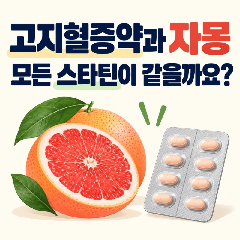[건강레터] 스타틴 복용 중 자몽 먹어도 될까요? 약 성분별 차이 정리 * 고지혈증약과 자몽 상....
