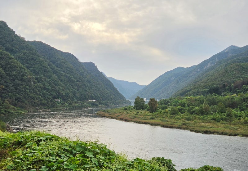 Chuncheon Outing with My 9-Year-Old: Kim Yu-jeong Station Rail Bike (Price, Duration, Review)