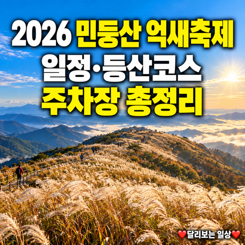 민둥산 억새축제 2026 기간·등산 코스· 일정 ·개화상황· 주차장과 소요시간