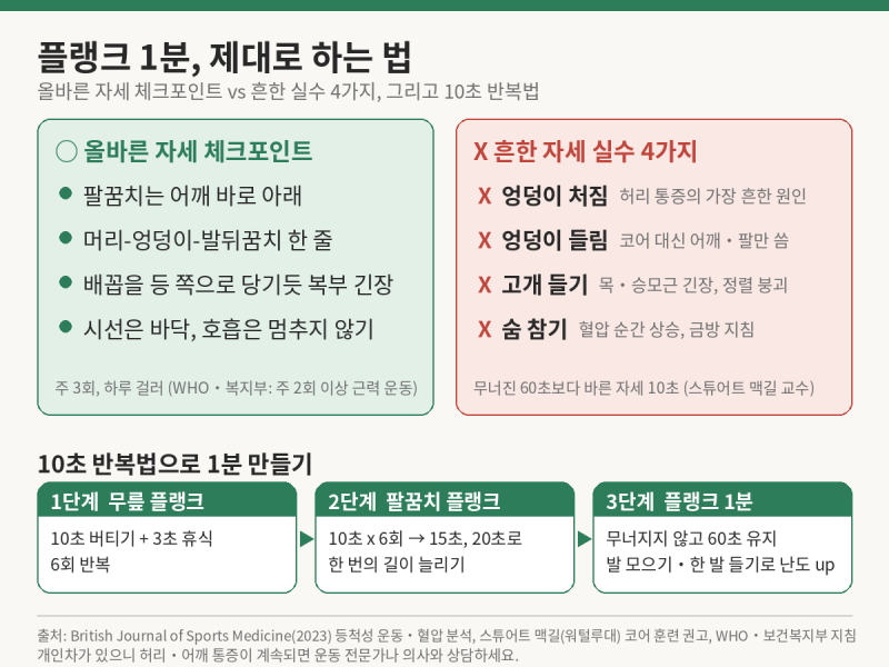 플랭크 1분 효과와 흔한 자세 실수 4가지