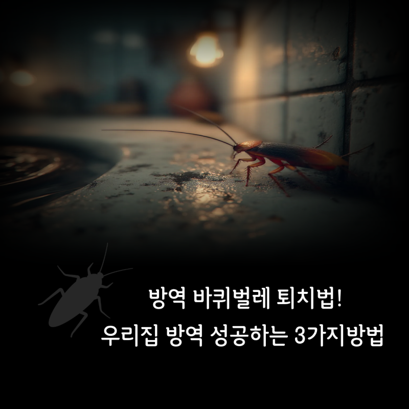 울산방역 바퀴벌레 퇴치법 ! 완벽정리 우리집 방역 성공하는 3가지 방법