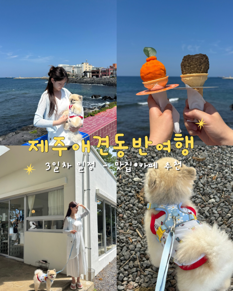 제주 2박3일 애견동반여행 3일차 제주공항 근처 맛집 카페 소품샵 추천