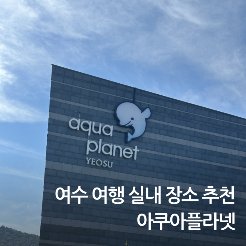 여수 실내 아이와 가볼 만한 곳 아쿠아플라넷 벨루가 주차