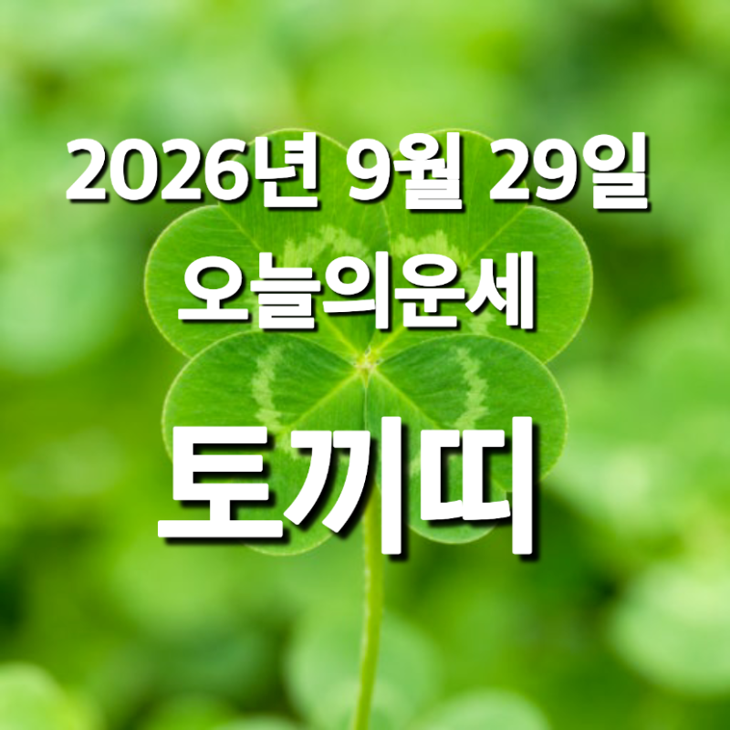 2026년 9월 29일 토끼띠 오늘의 운세｜재물운·애정운·직장운·건강운 총정리