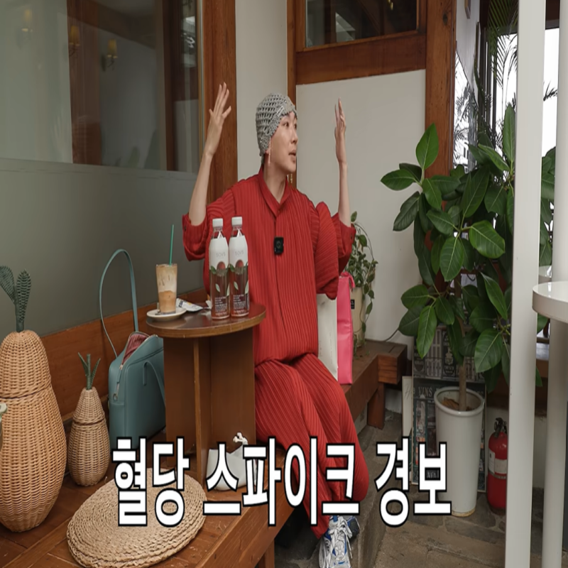 김호영 혈당 스파이크 막는 차, 바나바잎 추출물 효능 (혈당관리 팁 주의할 점)