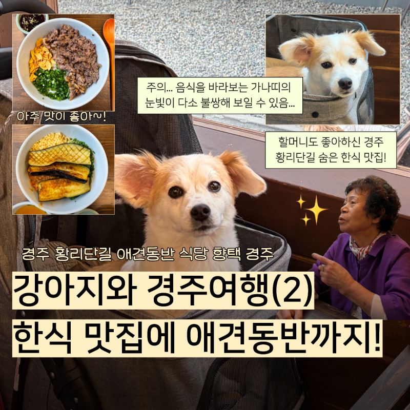 경주 애견동반 가능한 한식 맛집 향택, 경주 황리단길 여행을 계획 중이라면 추천해요