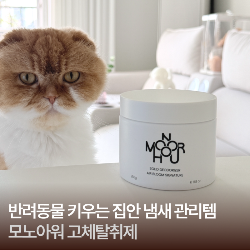 반려동물 키우는 집 고체탈취제 모노아워 에어블룸 시그니처
