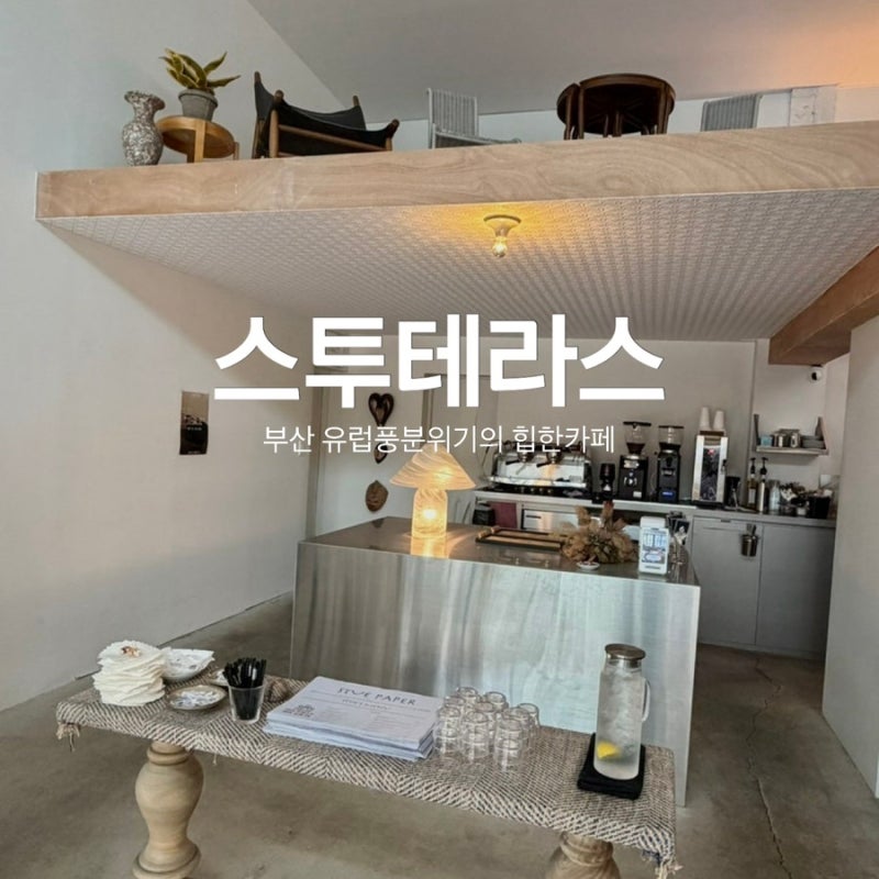 부산 전포카페거리 애견동반 가능한 전포동 핫플 브런치카페 스투 테라스
