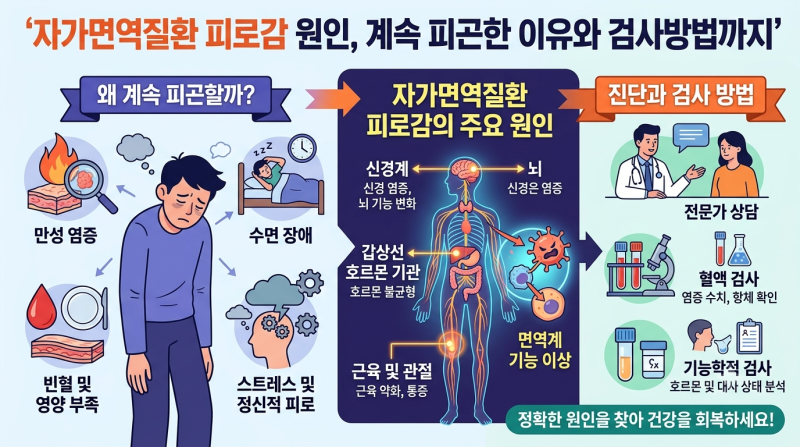 자가면역질환 피로감 원인, 계속 피곤한 이유와 검사방법까지
