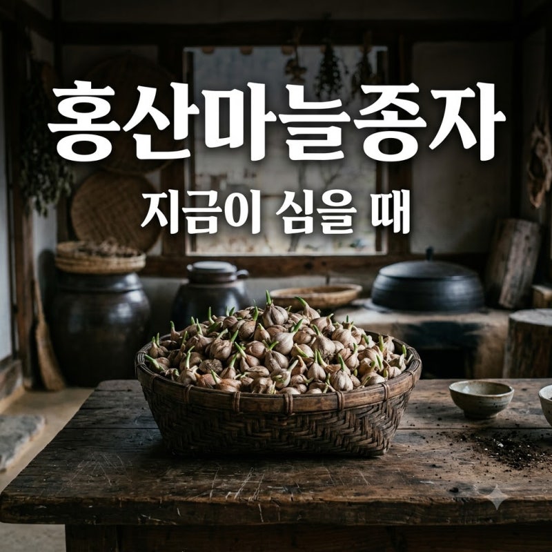"끝에 초록색인데 상한 거 아냐?" 홍산마늘종자 심어보고 놀란 반전 정체