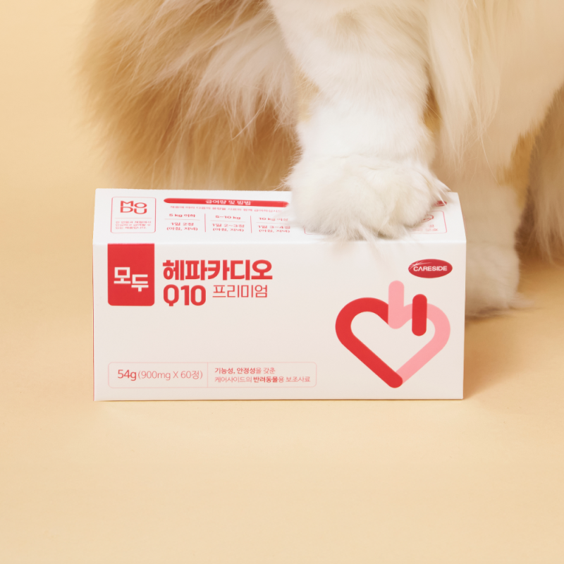 케어사이드 헤파카디오 60정 반려견 반려묘 심장영양제 솔직 사용기