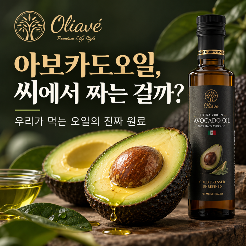 아보카도오일은 씨에서 짜는 걸까? 우리가 먹는 아보카도오일의 원료 알아보기