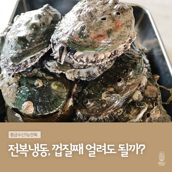 살아있는 전복 보관법, 씻지않고 껍질째 얼려도 될까?전복양식업자에게 물으니...