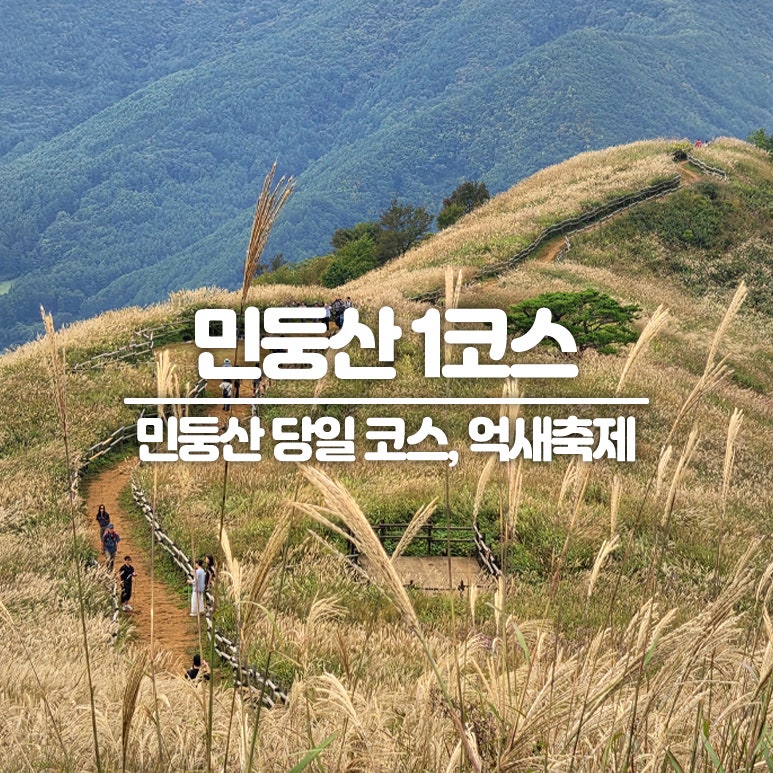 민둥산 1코스 등산 후기 I 민둥산역 기차 당일치기 뚜벅이 여행 & 억새축제