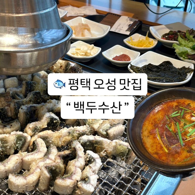 평택 오성면 장어 맛집 백두수산 거대장어 6인 방문후기