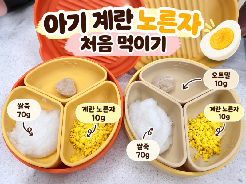 아기 계란 노른자 처음 먹이는 법｜알레르기 반응 확인과 주의사항